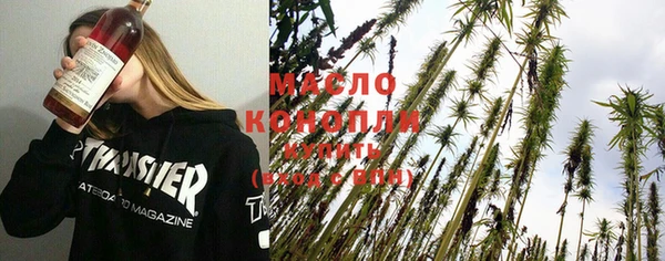 скорость Бородино