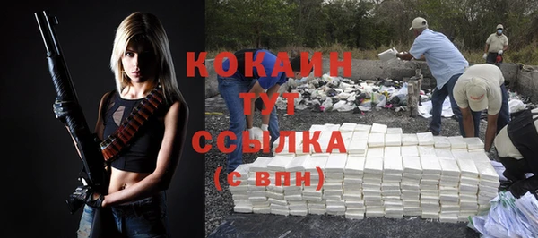 индика Бугульма