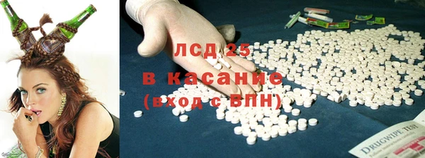 индика Бугульма