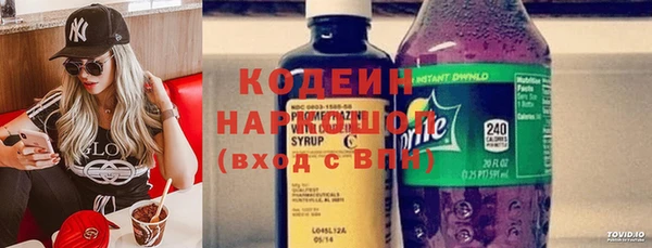 индика Бугульма