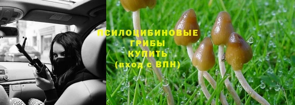 скорость Бородино